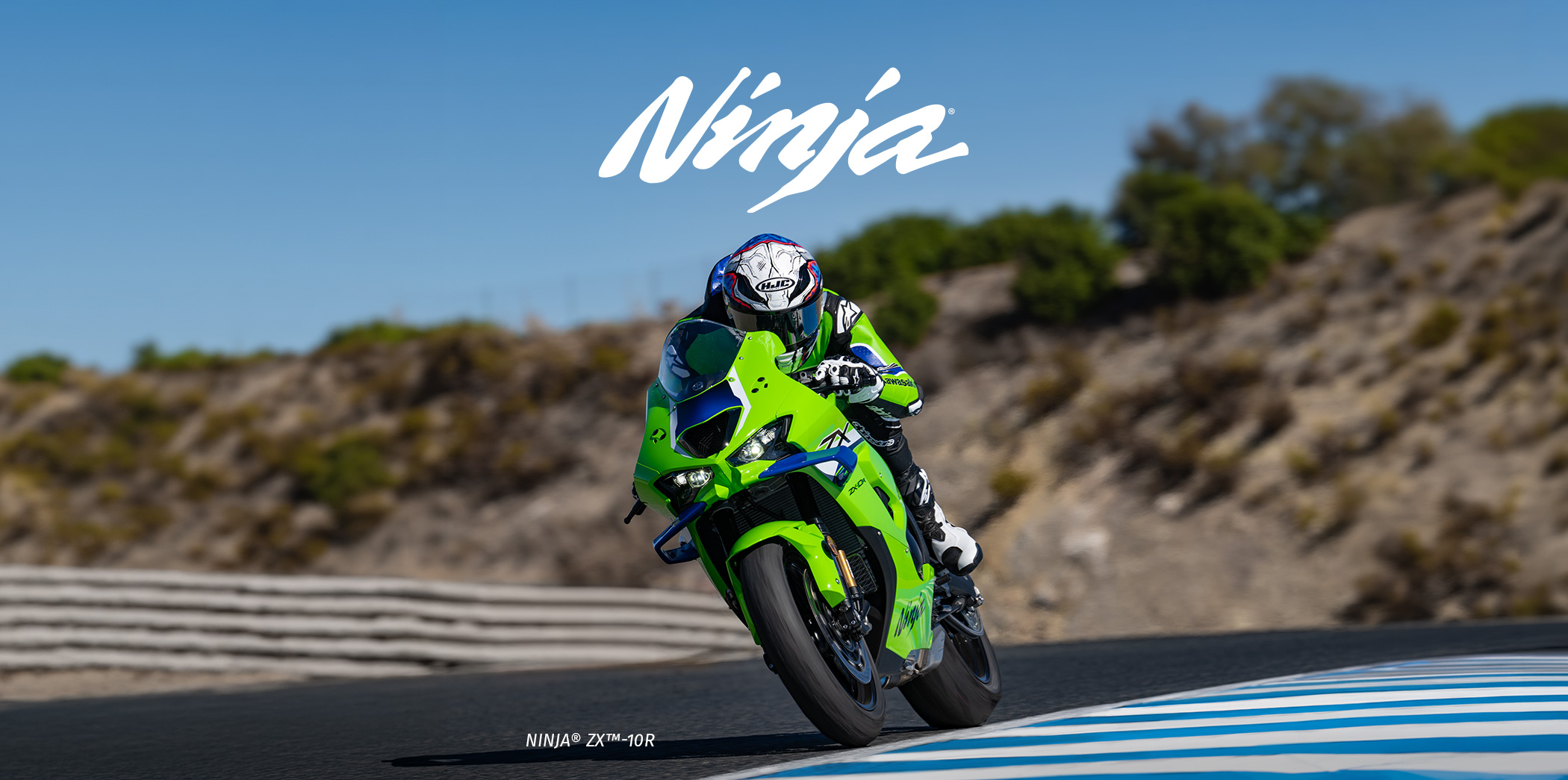 Ninja FAMILY: Ninja